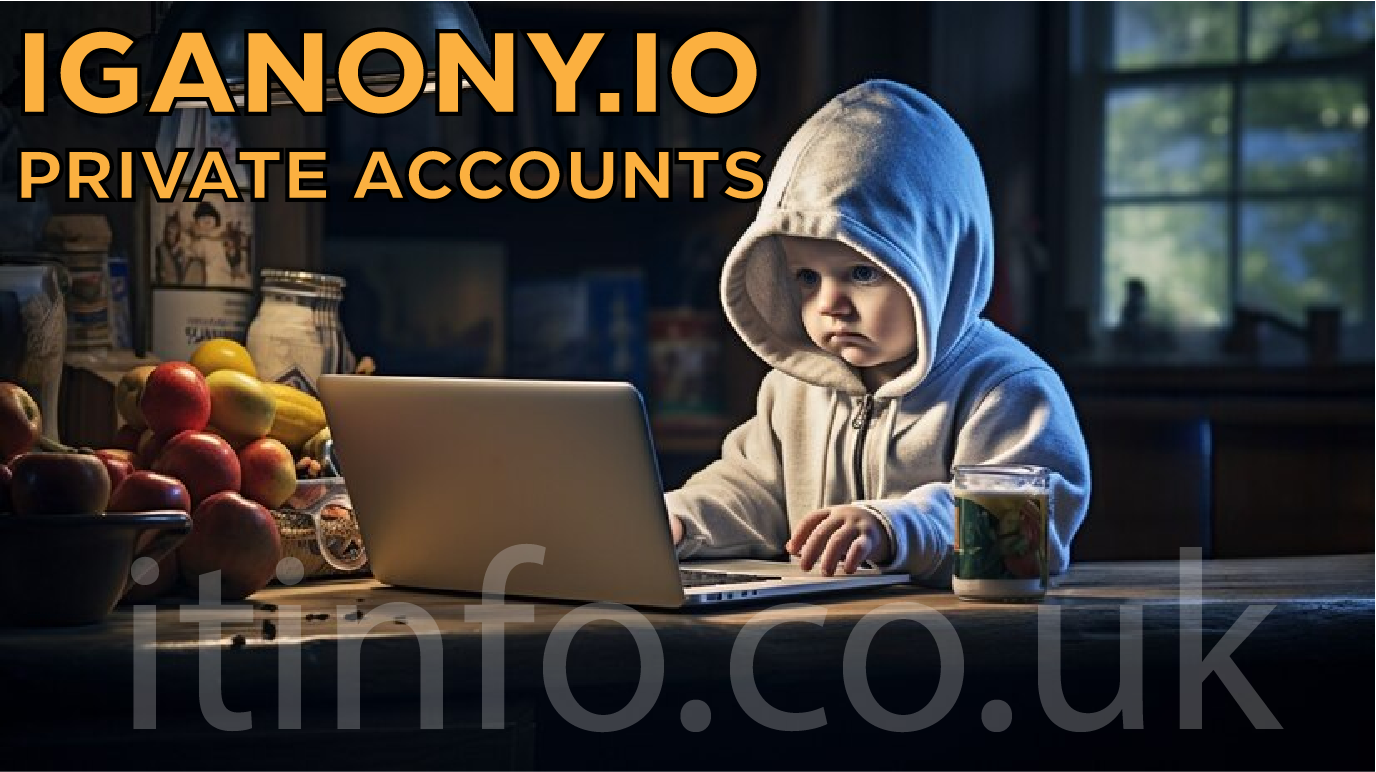 The Ultimate Guide to iGanony.io Private Accounts