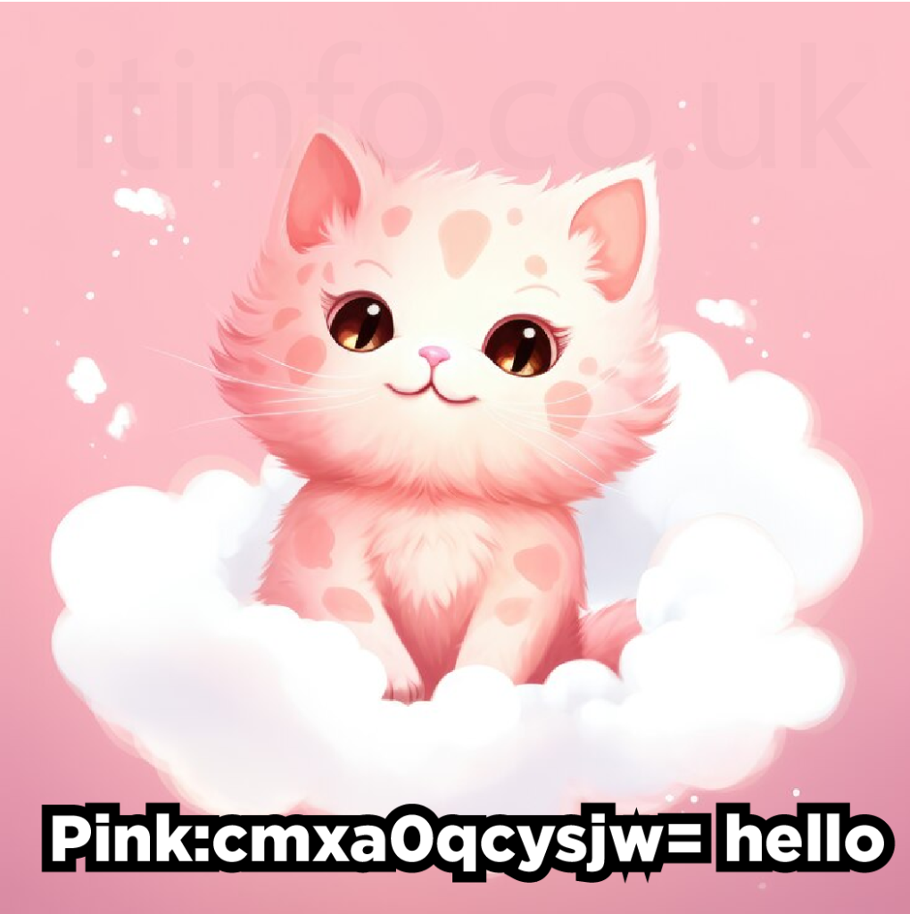 "PINK:CMXA0QCYSJW= HELLO"