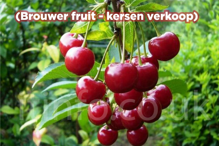 (Brouwer fruit - kersen verkoop)