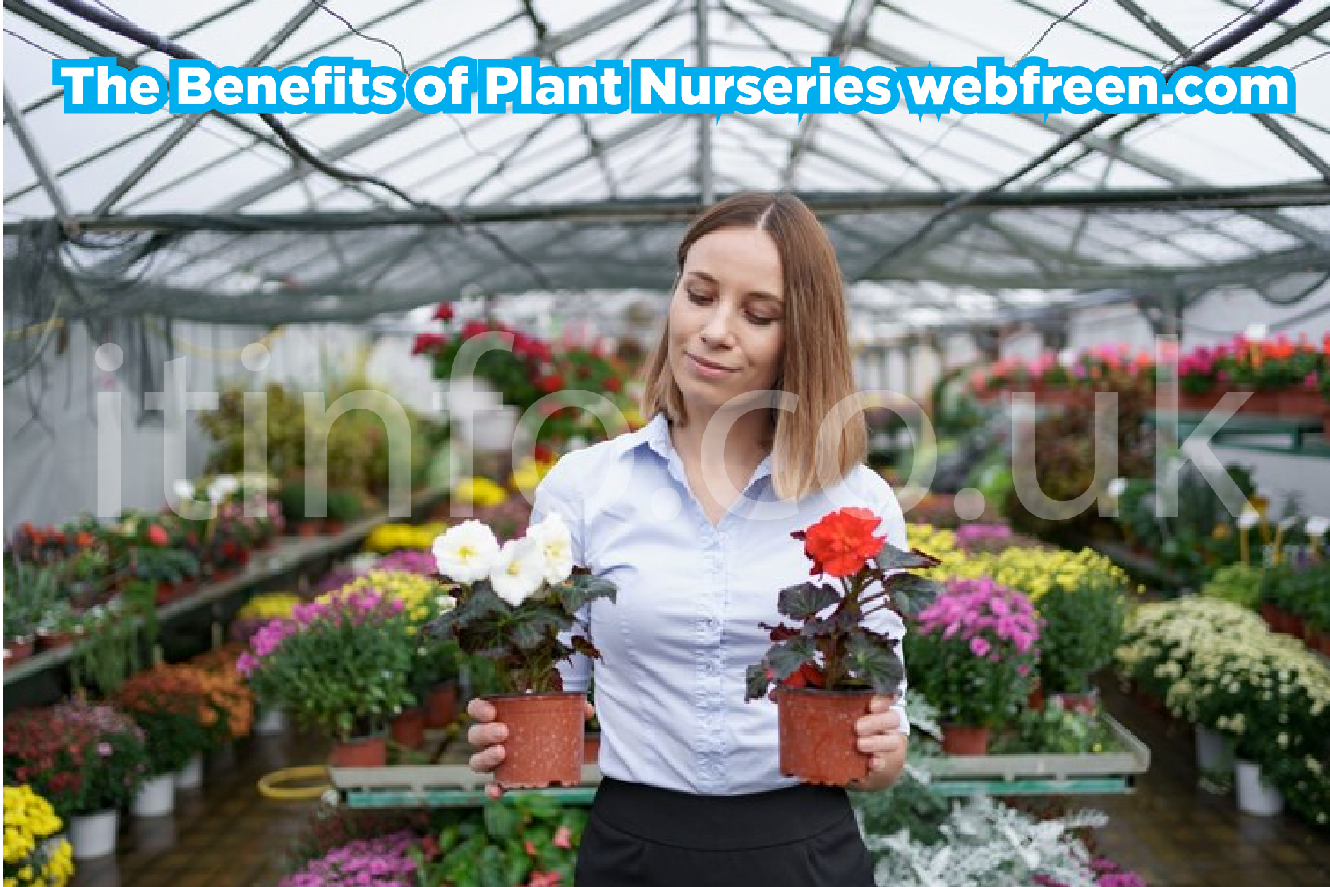 The Benefits of Plant Nurseries webfreen.com