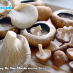 How to Buy Online Mushrooms Service