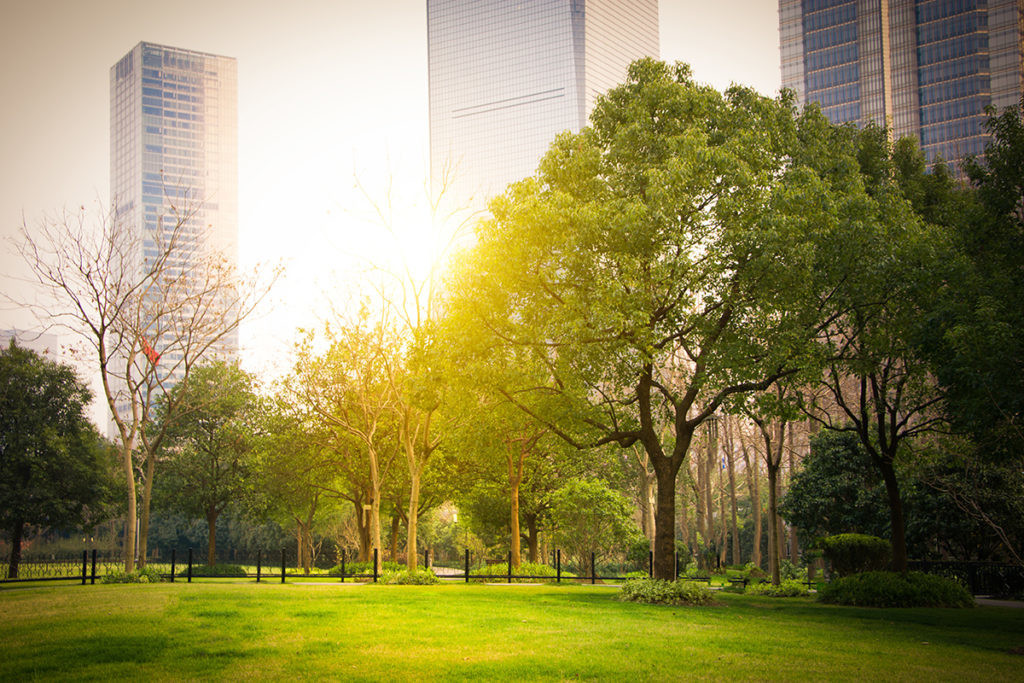 Green Escapes in the City